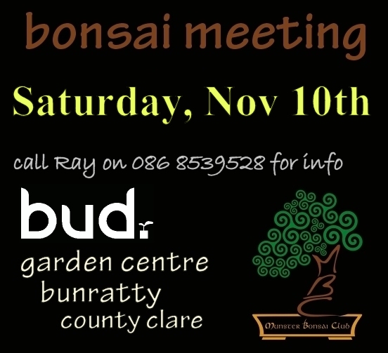 bud gc bonsai meeting NOV11